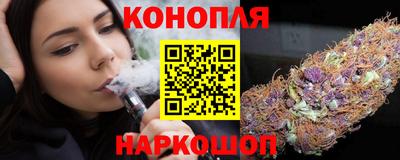 СК Новодвинск