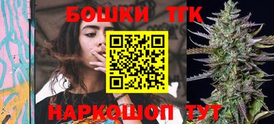 СК Новодвинск