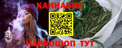СК Новодвинск