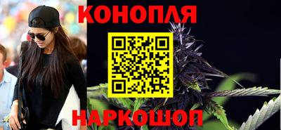 СК Новодвинск