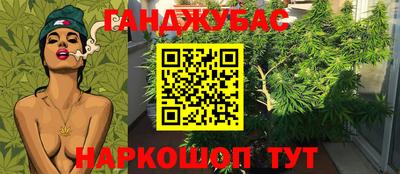 ешки Новокубанск
