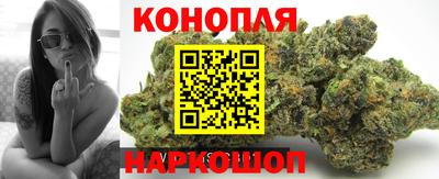 СК Новодвинск