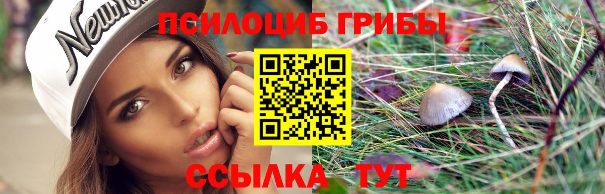 Галлюциногенные грибы мицелий  Вход с VPN  Оренбург 